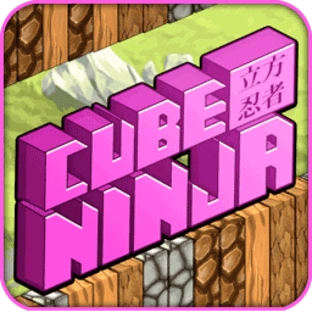 Cube ninja