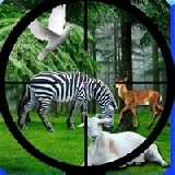 Real Jungle Animals Hunting